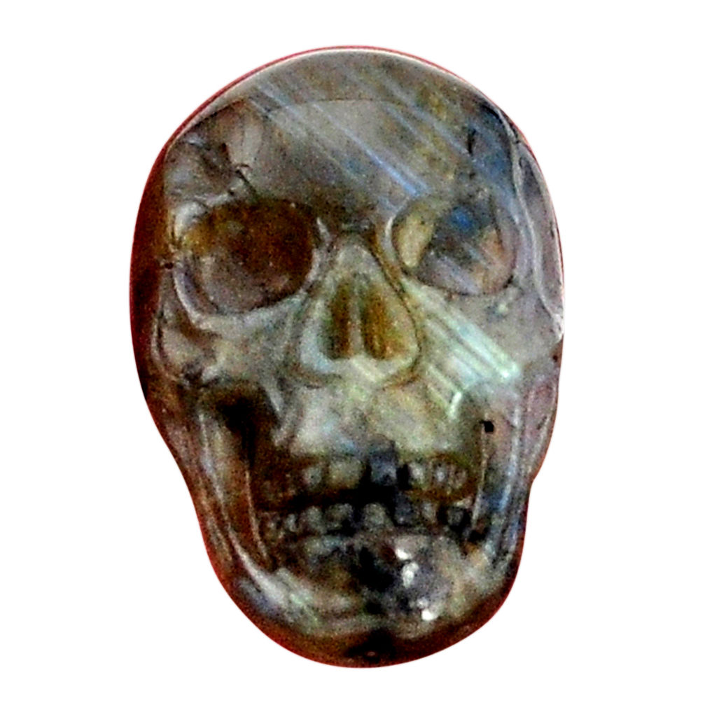Natural 13.45cts labradorite blue carving 22x15 mm skull loose gemstone s9997