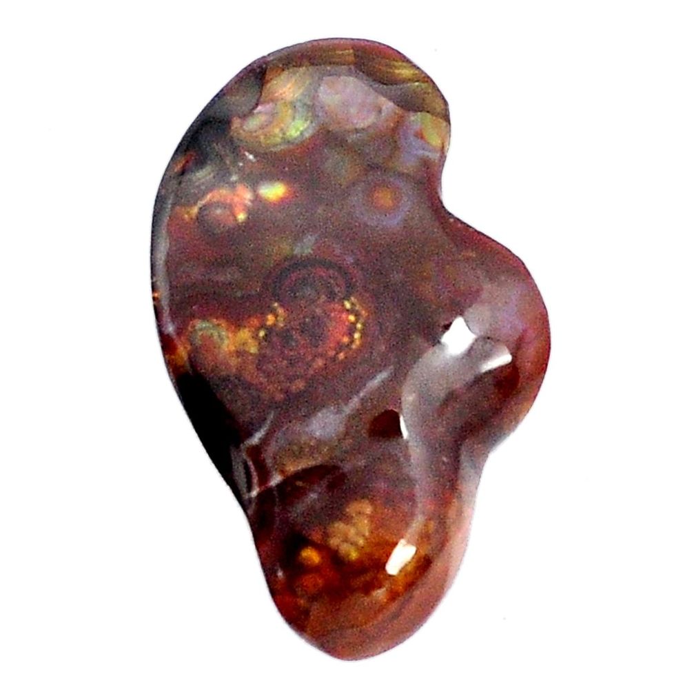 Natural 24.45cts mexican fire agate multi color 30x19 mm loose gemstone s9876