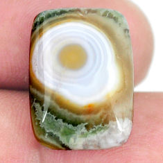 Natural 11.30cts ocean sea jasper (madagascar) 18x13 mm loose gemstone s11494