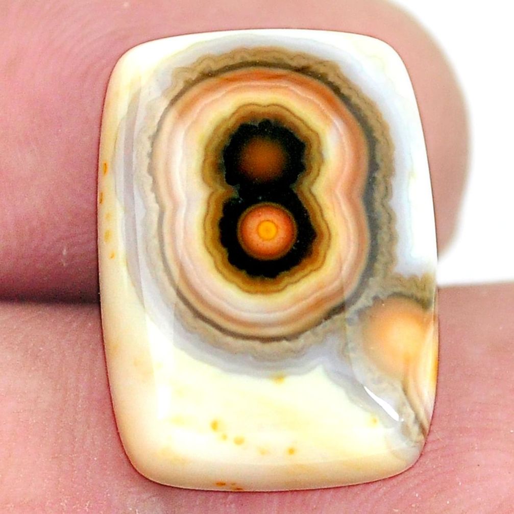 Natural 12.40cts ocean sea jasper (madagascar) 18x13 mm loose gemstone s11496