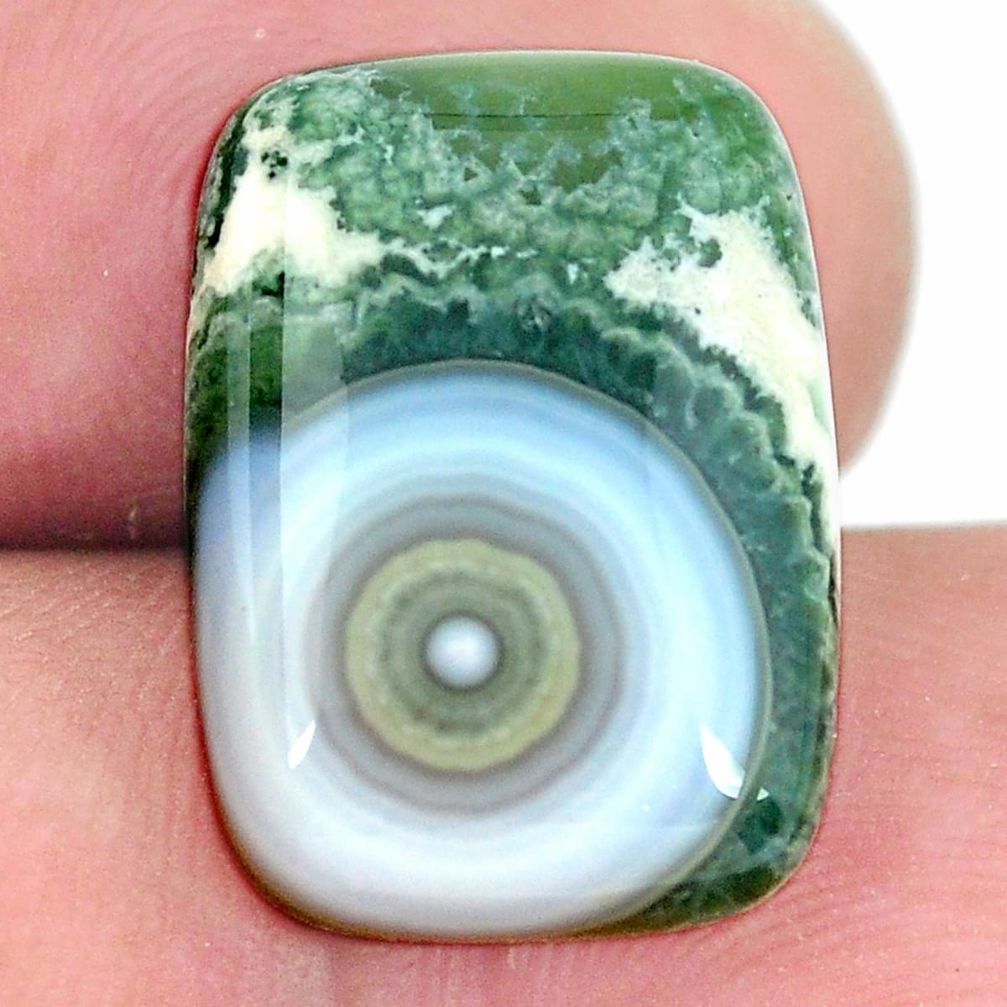 Natural 11.30cts ocean sea jasper (madagascar) 18x13 mm loose gemstone s11500