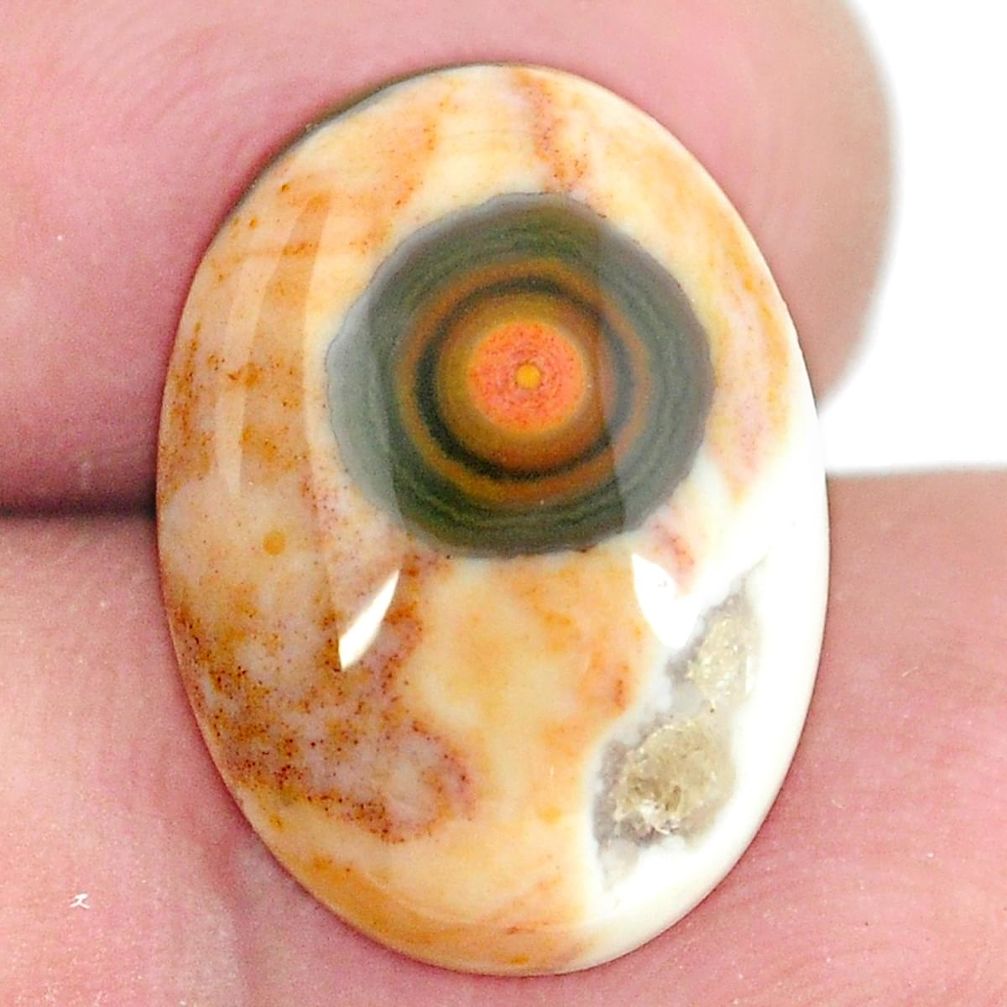 Natural 9.45cts ocean sea jasper (madagascar) 18x13mm oval loose gemstone s11489