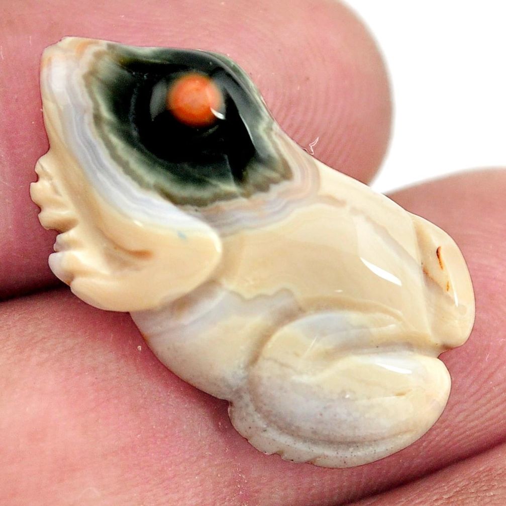 Natural 12.35cts ocean sea jasper carving 26.5x14 mm frog loose gemstone s13357