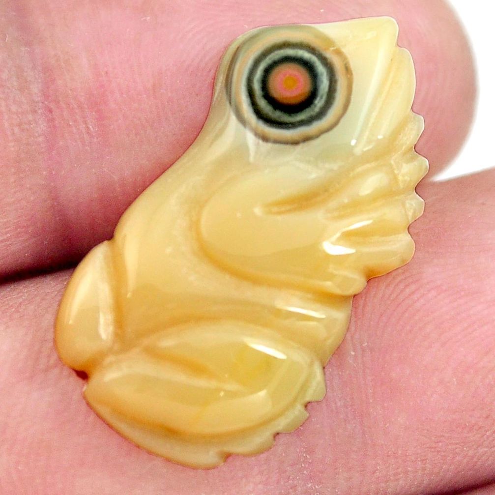 Natural 10.15cts ocean sea jasper carving 26x13.5 mm frog loose gemstone s13359