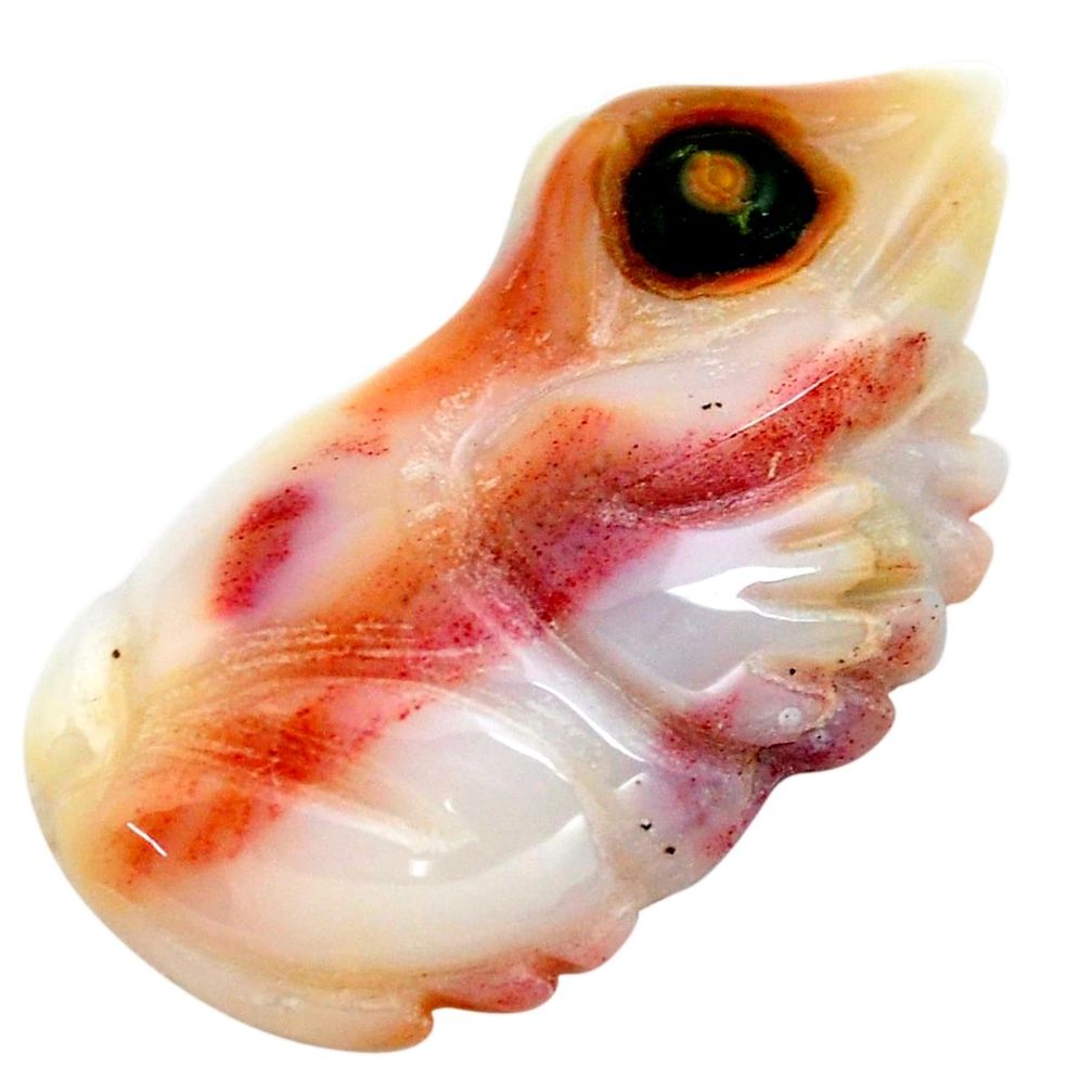 Natural 14.35cts ocean sea jasper carving 28x14 mm frog loose gemstone s13353