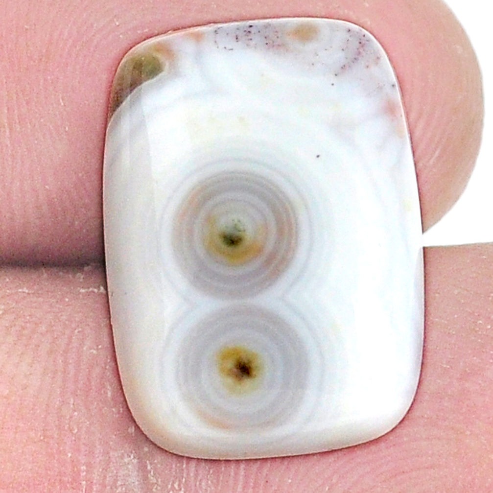 Natural 11.30cts ocean sea jasper multi color 18x13 mm loose gemstone s10283