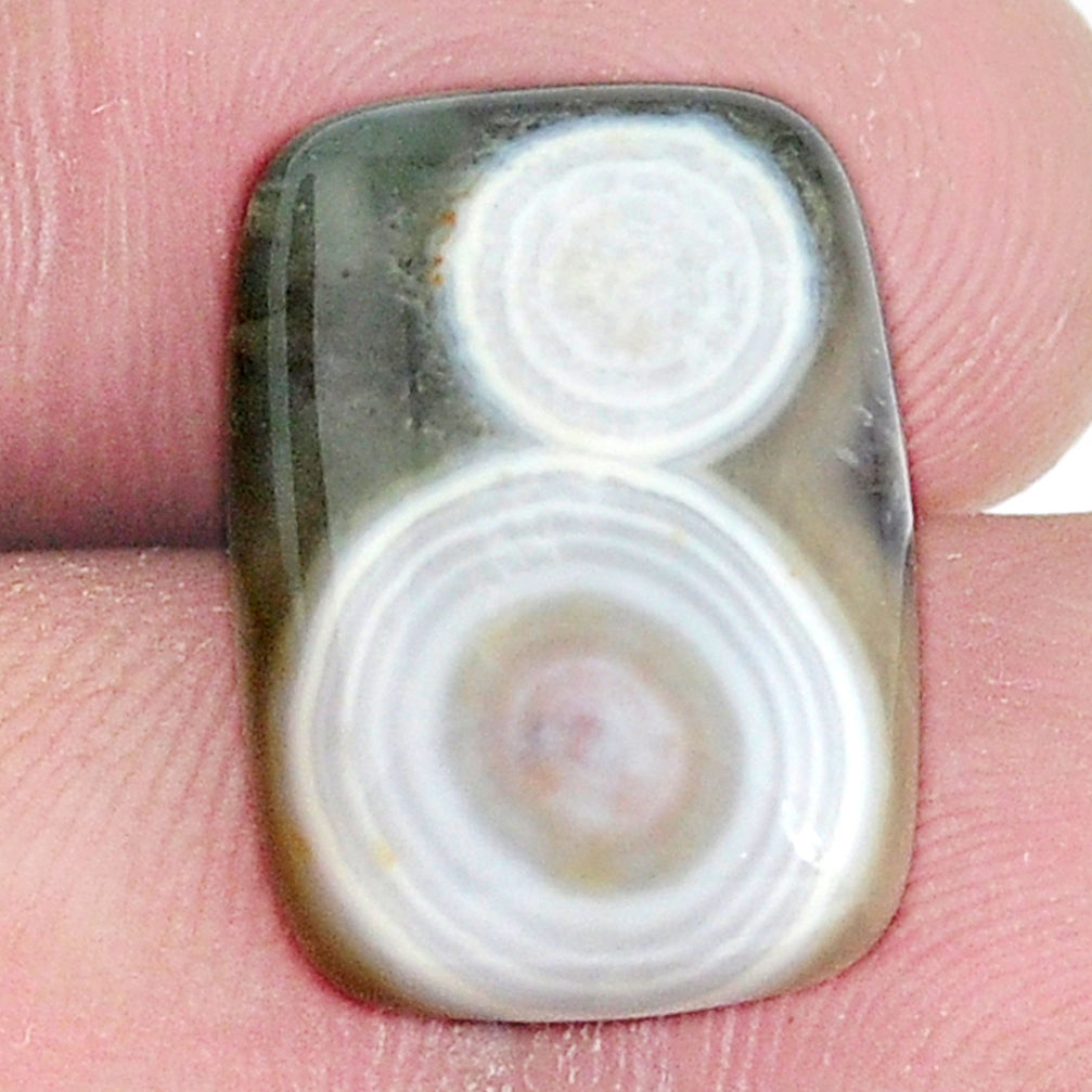 Natural 11.30cts ocean sea jasper multi color 18x13 mm loose gemstone s10287