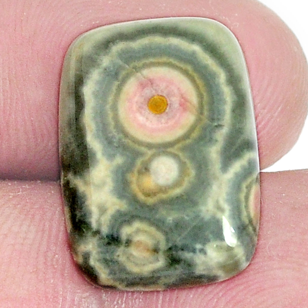 Natural 12.35cts ocean sea jasper multi color 18x13 mm loose gemstone s10292