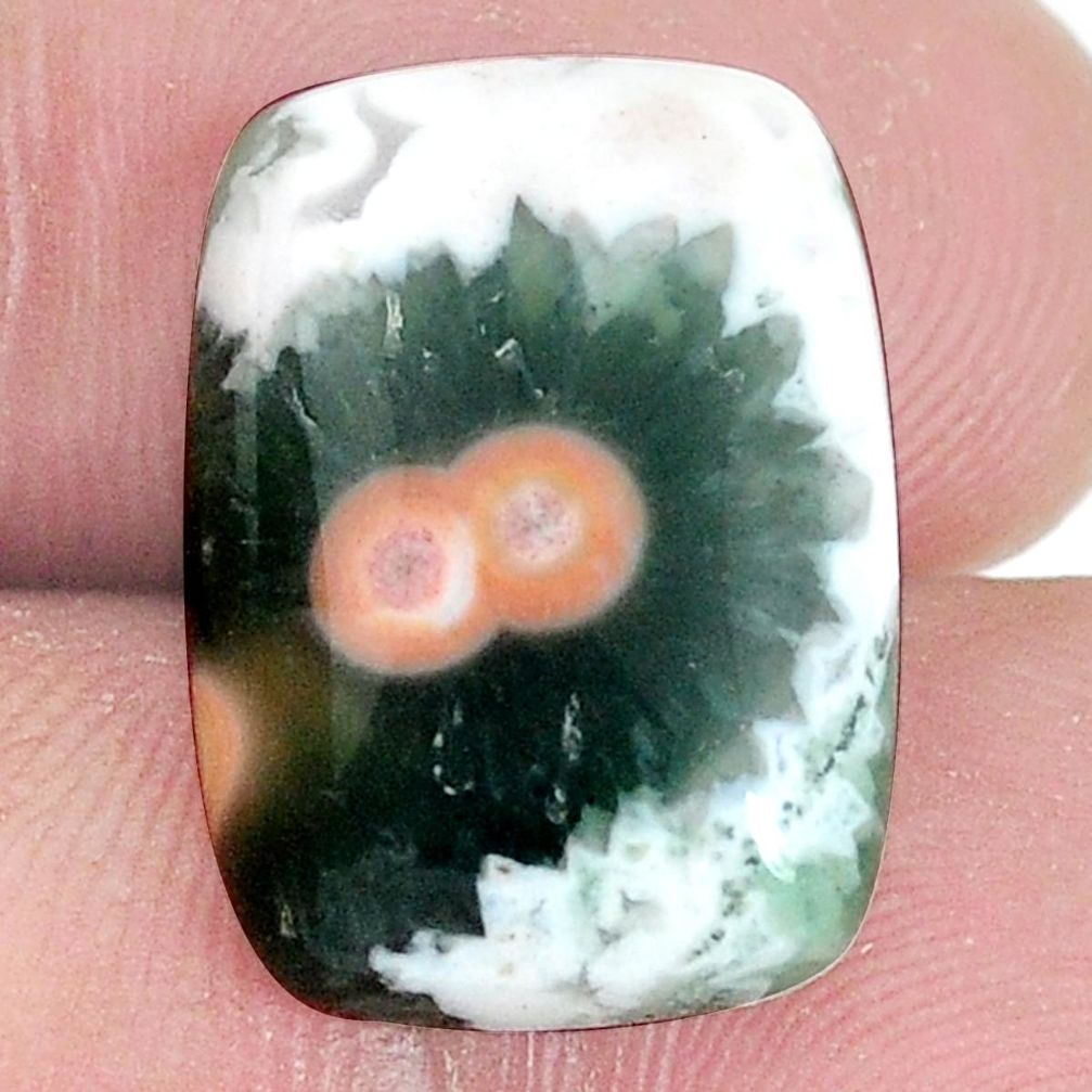 Natural 12.15cts ocean sea jasper multi color 18x13 mm loose gemstone s10295