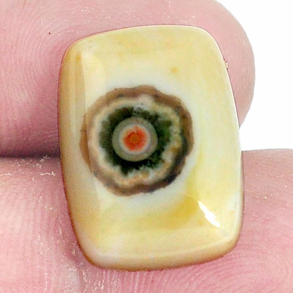 Natural 12.40cts ocean sea jasper multi color 18x13 mm loose gemstone s10300