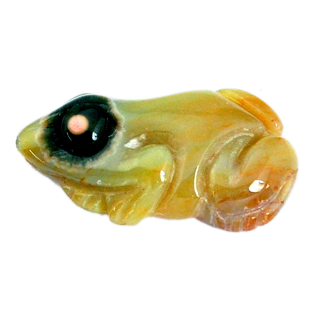 Natural 17.40cts ocean sea jasper multicolor 28x15 mm frog loose gemstone s10149