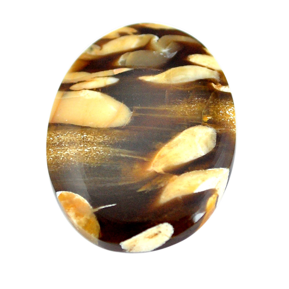 Natural 16.30cts peanut petrified wood fossil 25.5x19 mm loose gemstone s11077