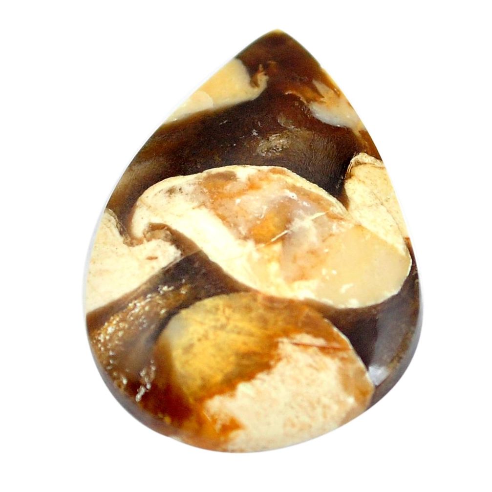 Natural 13.45cts peanut petrified wood fossil 25x18 mm loose gemstone s11061