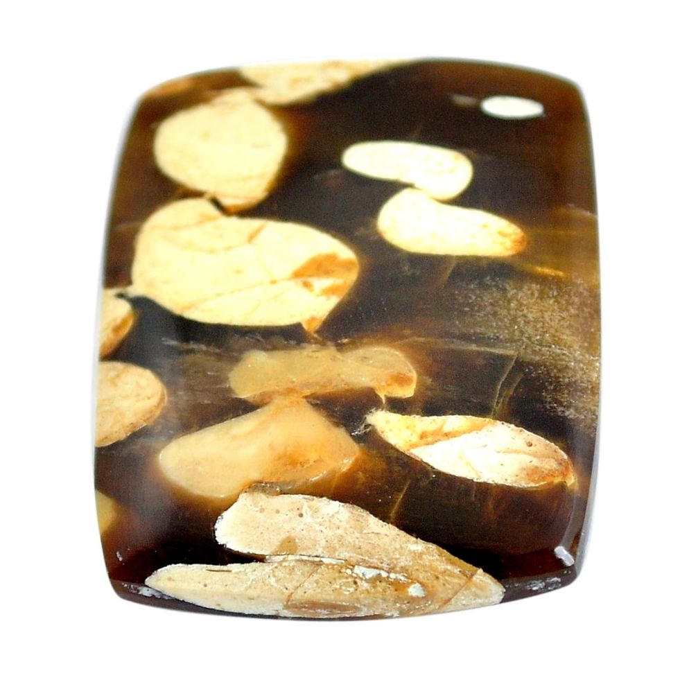 Natural 23.45cts peanut petrified wood fossil 26.5x22 mm loose gemstone s11067