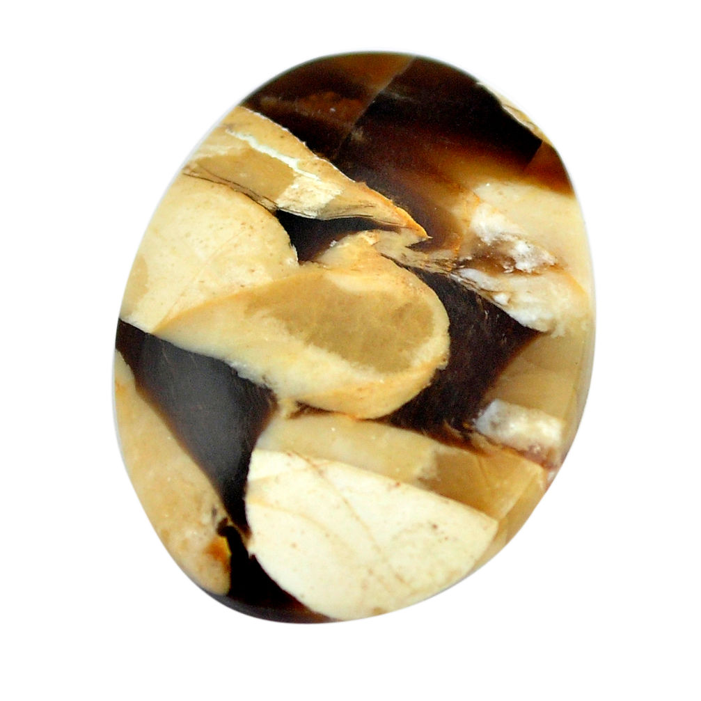 Natural 17.35cts peanut petrified wood fossil 26x20 mm loose gemstone s11080