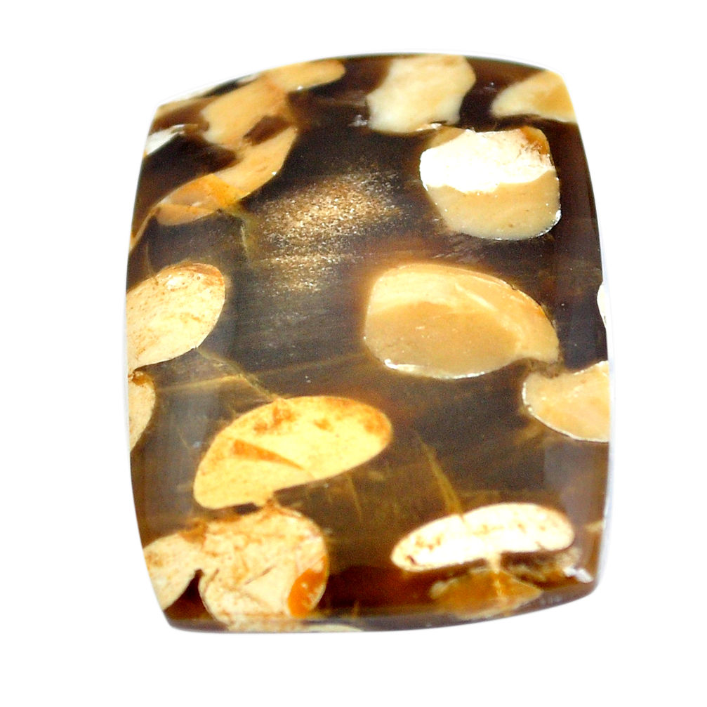 Natural 23.45cts peanut petrified wood fossil 27x20 mm loose gemstone s11066