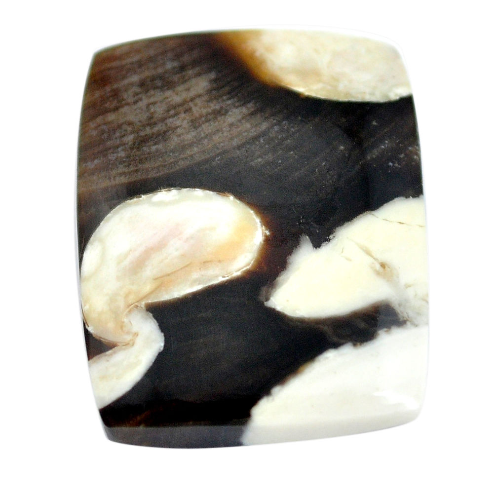 Natural 30.15cts peanut petrified wood fossil 27x21 mm loose gemstone s11041