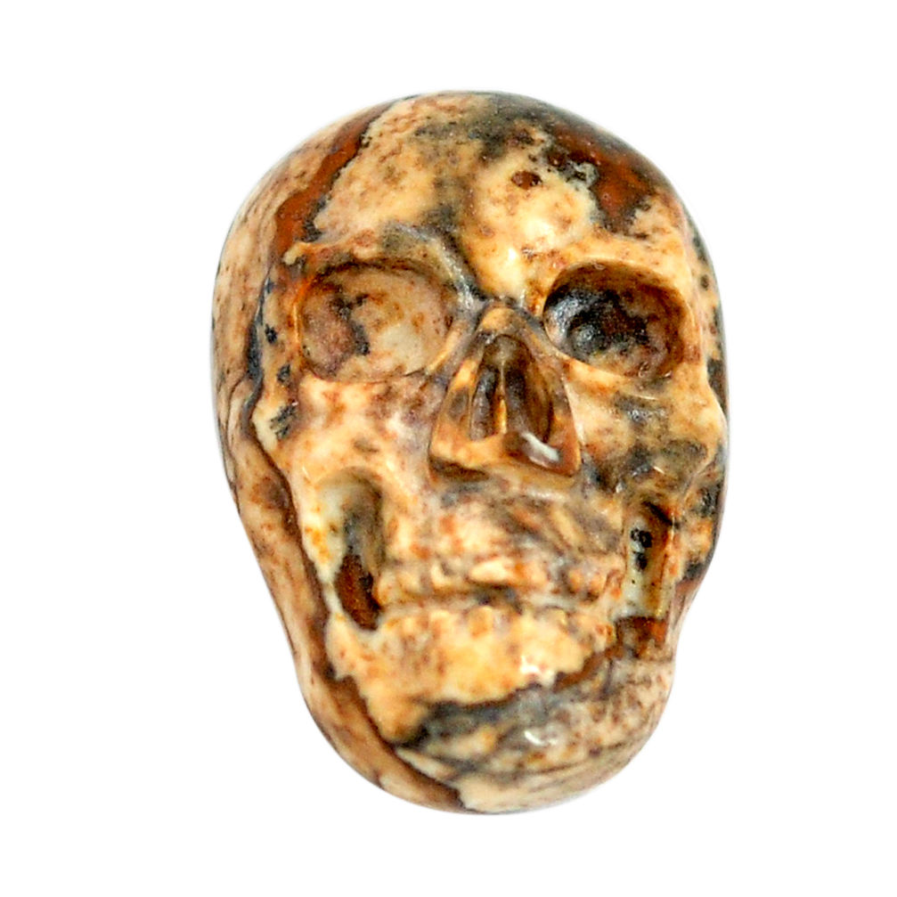 Natural 7.40cts picture jasper brown 18x12 mm skull face loose gemstone s13307