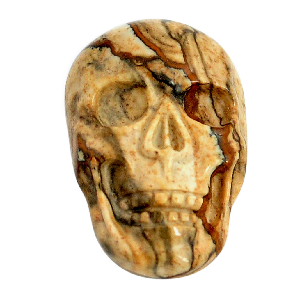 Natural 12.40cts picture jasper brown 22.5x15mm skull loose gemstone s13266