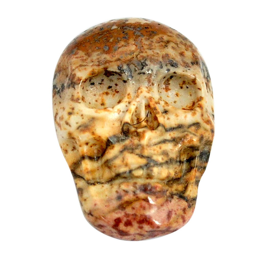 Natural 12.40cts picture jasper brown 22x15 mm skull loose gemstone s13269