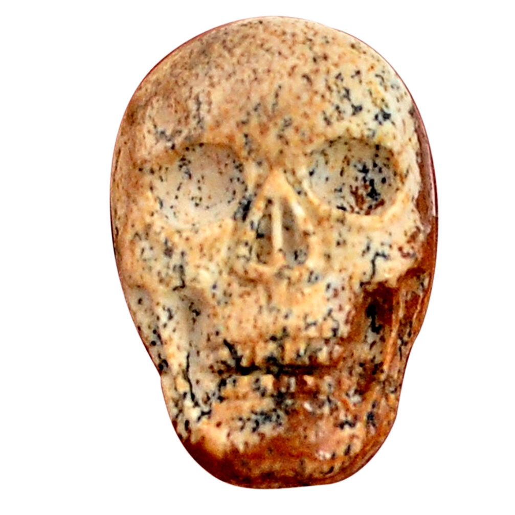 Natural 14.45cts picture jasper skull carving 22.5x15 mm loose gemstone s9994