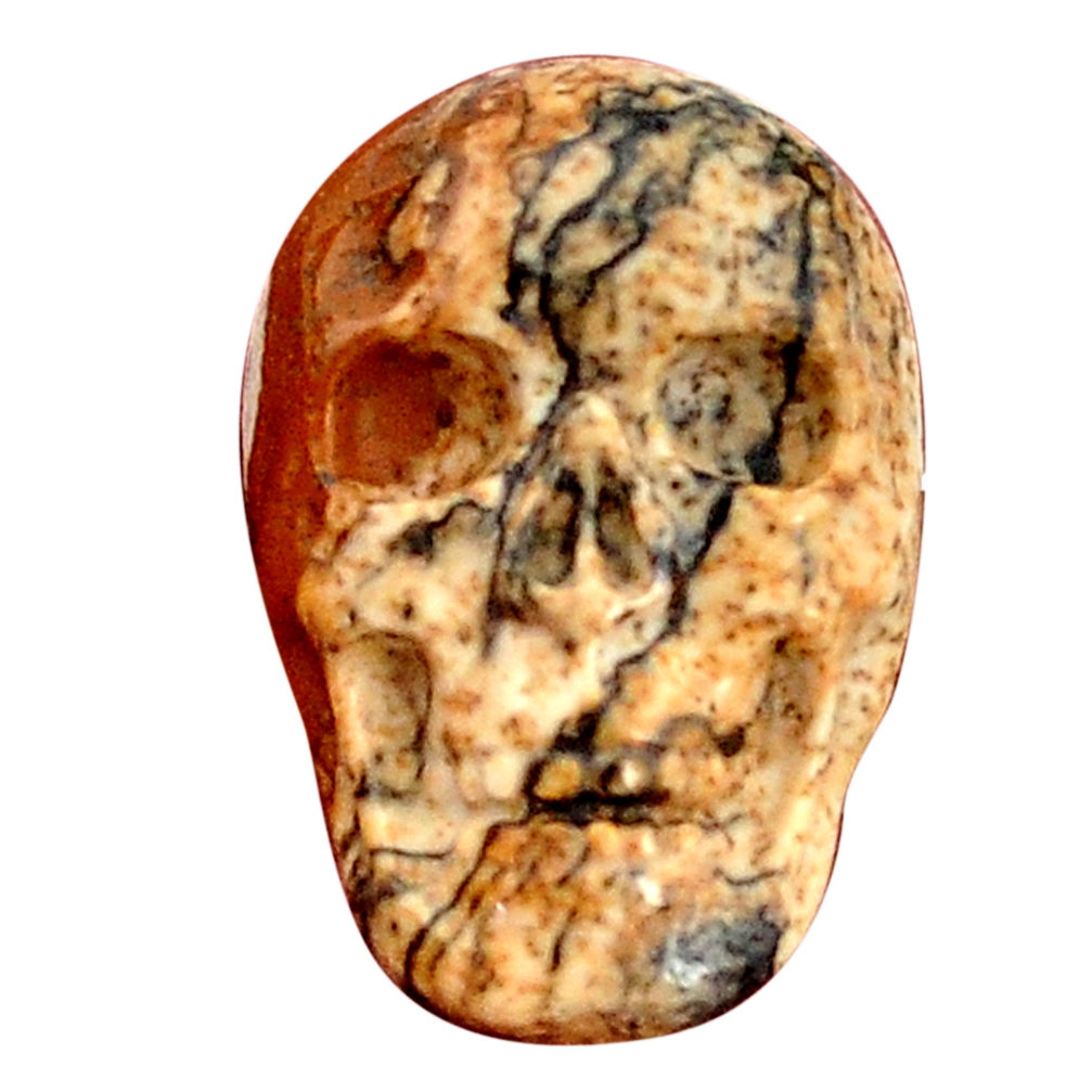 Natural 14.45cts picture jasper skull carving 22.5x15.5 mm loose gemstone s9992