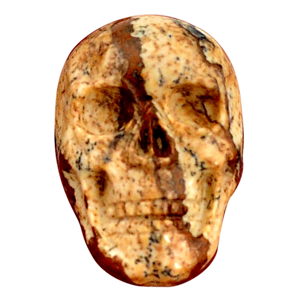 Natural 14.45cts picture jasper skull carving 23x15mm fancy loose gemstone s9995