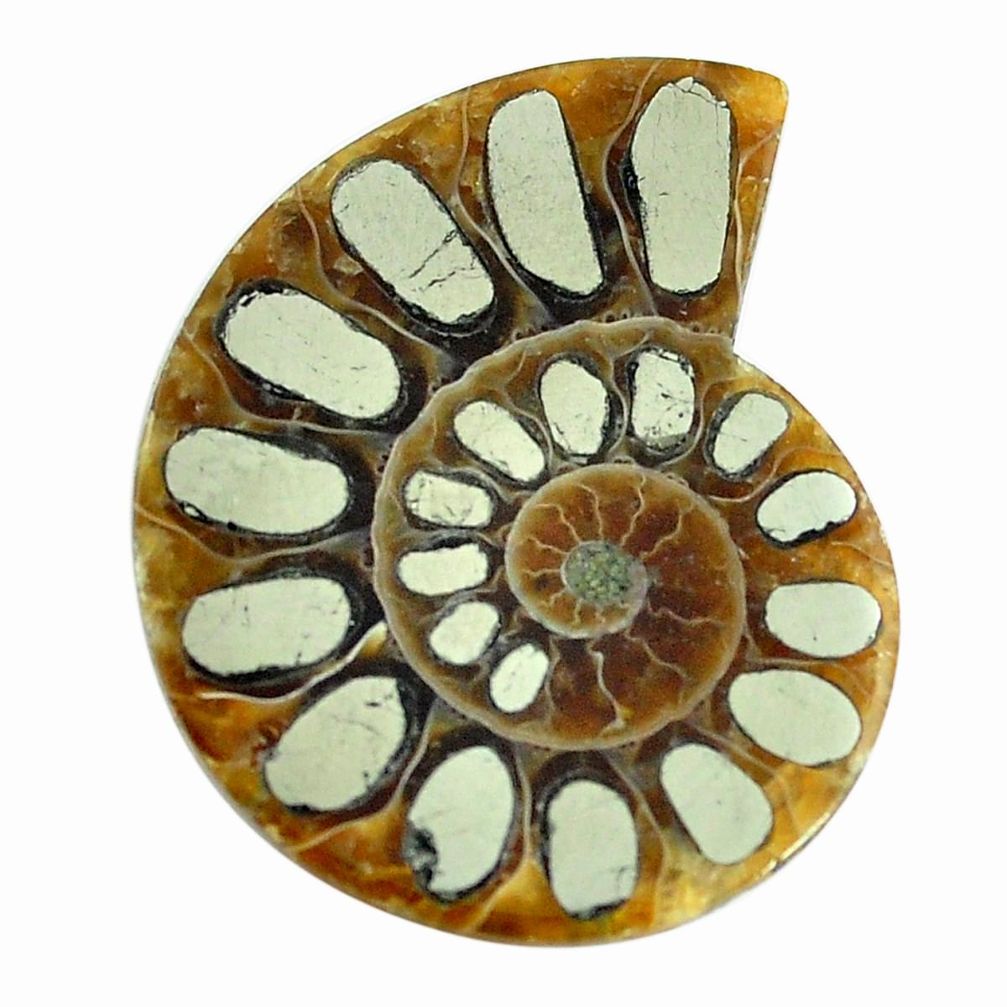 Natural 22.35cts pyrite in ammonite cabochon 30x23 mm loose gemstone s12583
