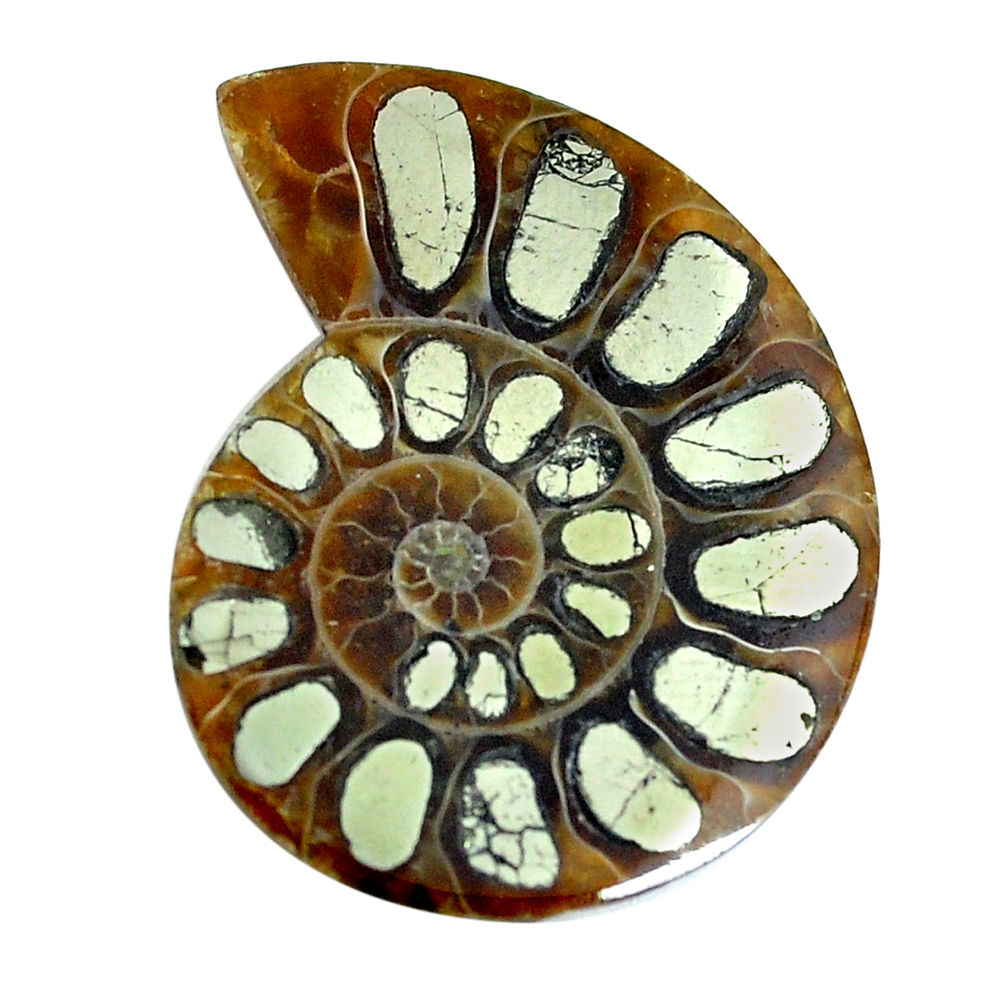 Natural 25.10cts pyrite in ammonite cabochon 30x24 mm loose gemstone s12582