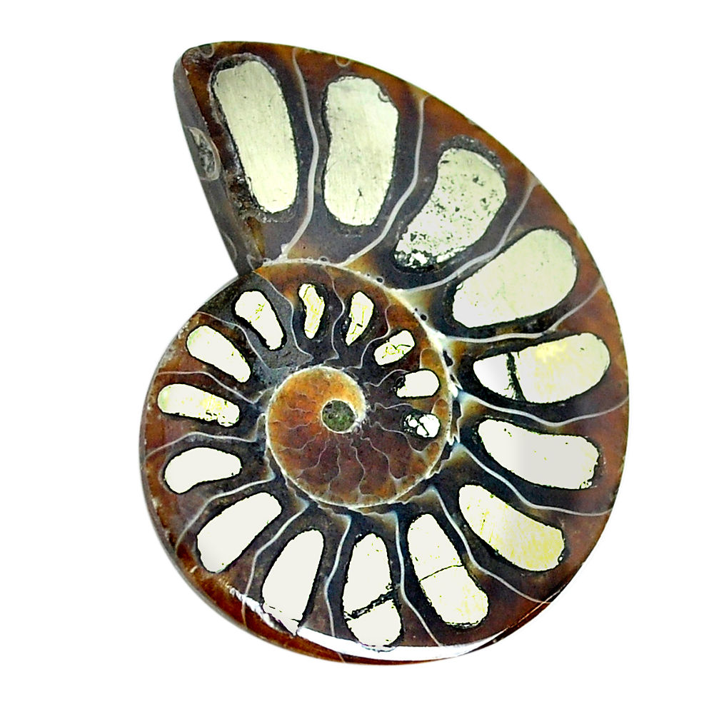 Natural 24.45cts pyrite in ammonite cabochon 31x24 mm loose gemstone s12587