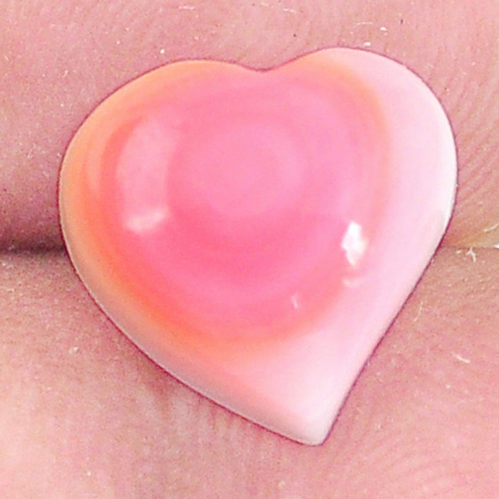 Natural 6.30cts queen conch shell pink 11.5x12 mm heart loose gemstone s11738