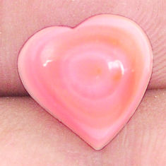 Natural 5.45cts queen conch shell pink 11x12 mm heart loose gemstone s11733