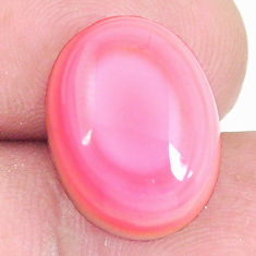 Natural 12.35cts queen conch shell pink cabochon 16x12 mm loose gemstone s11702