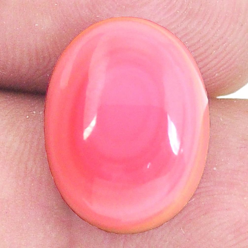 Natural 12.35cts queen conch shell pink cabochon 16x12 mm loose gemstone s11711