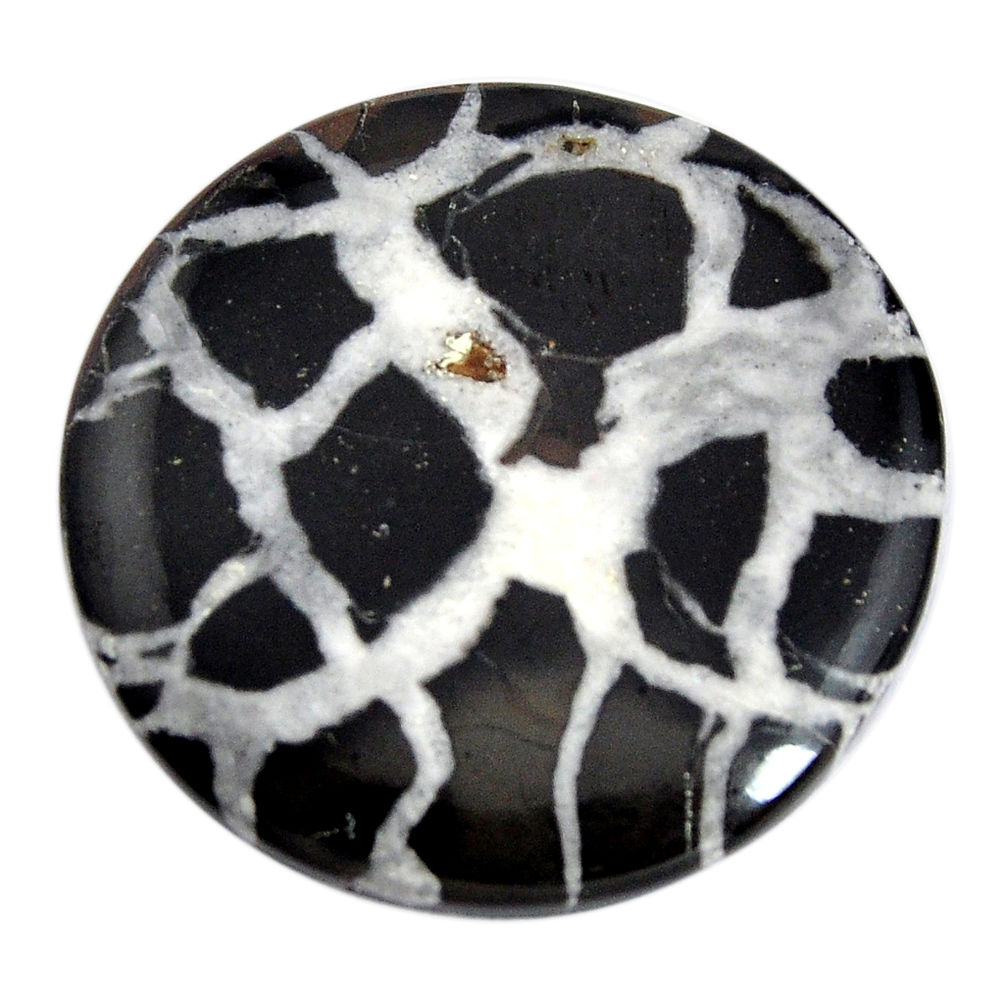 Natural 27.40cts septarian gonads black cabochon 28x28 mm loose gemstone s15023
