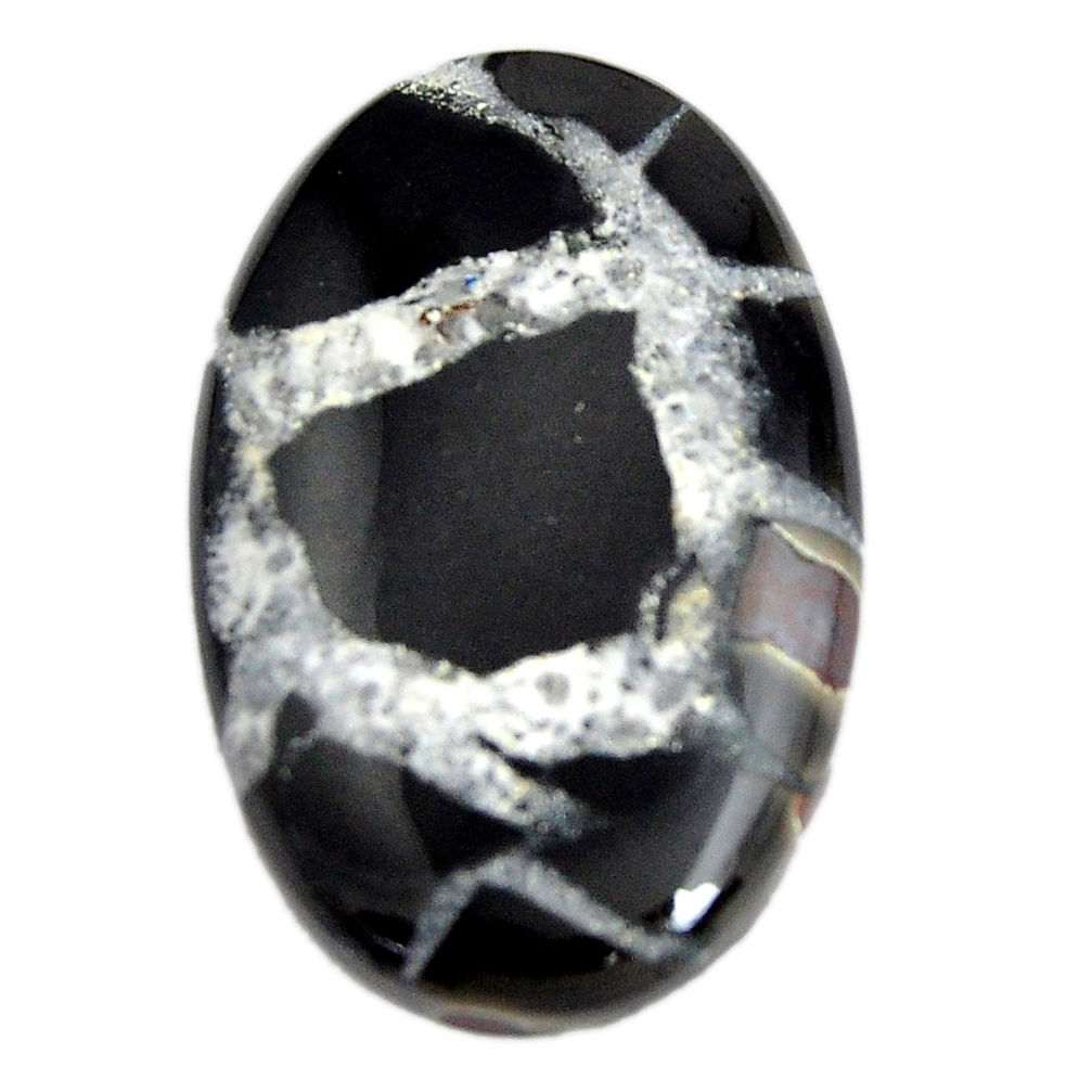 Natural 26.30cts septarian gonads black cabochon 29x18.5mm loose gemstone s15031