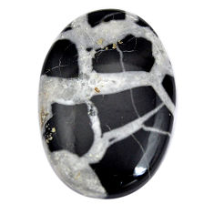Natural 28.40cts septarian gonads black cabochon 30x20mm loose gemstone s15030