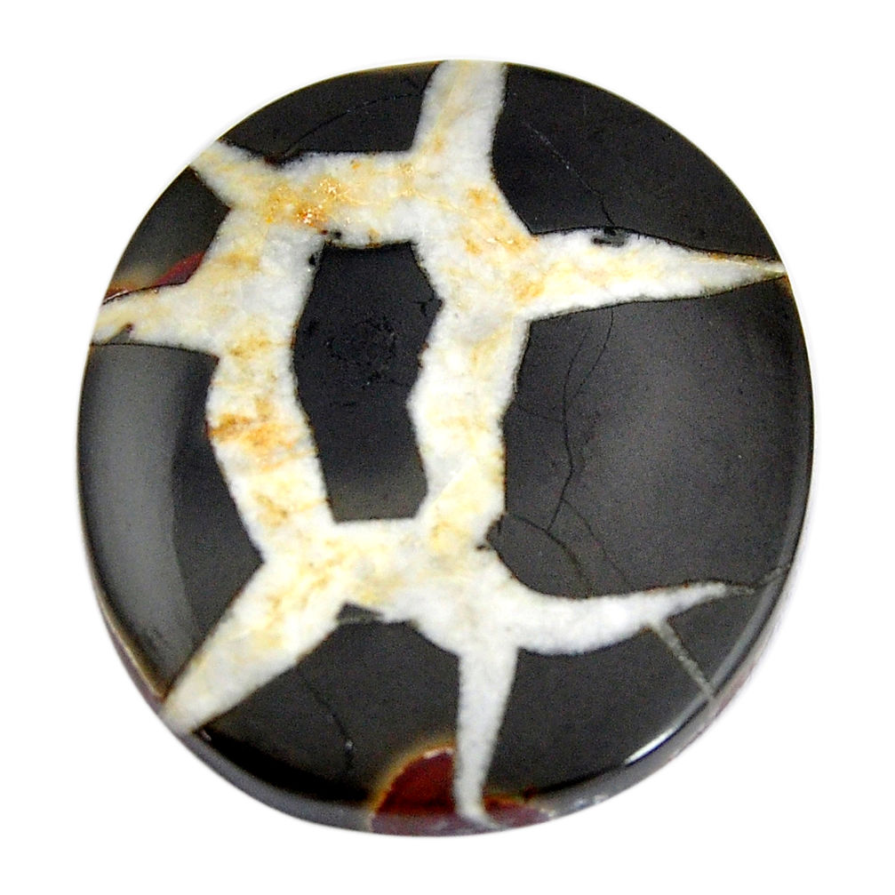 Natural 43.45cts septarian gonads black cabochon 32.5x28mm loose gemstone s15027