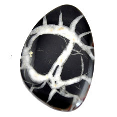 Natural 43.45cts septarian gonads black cabochon 40x25 mm loose gemstone s15033