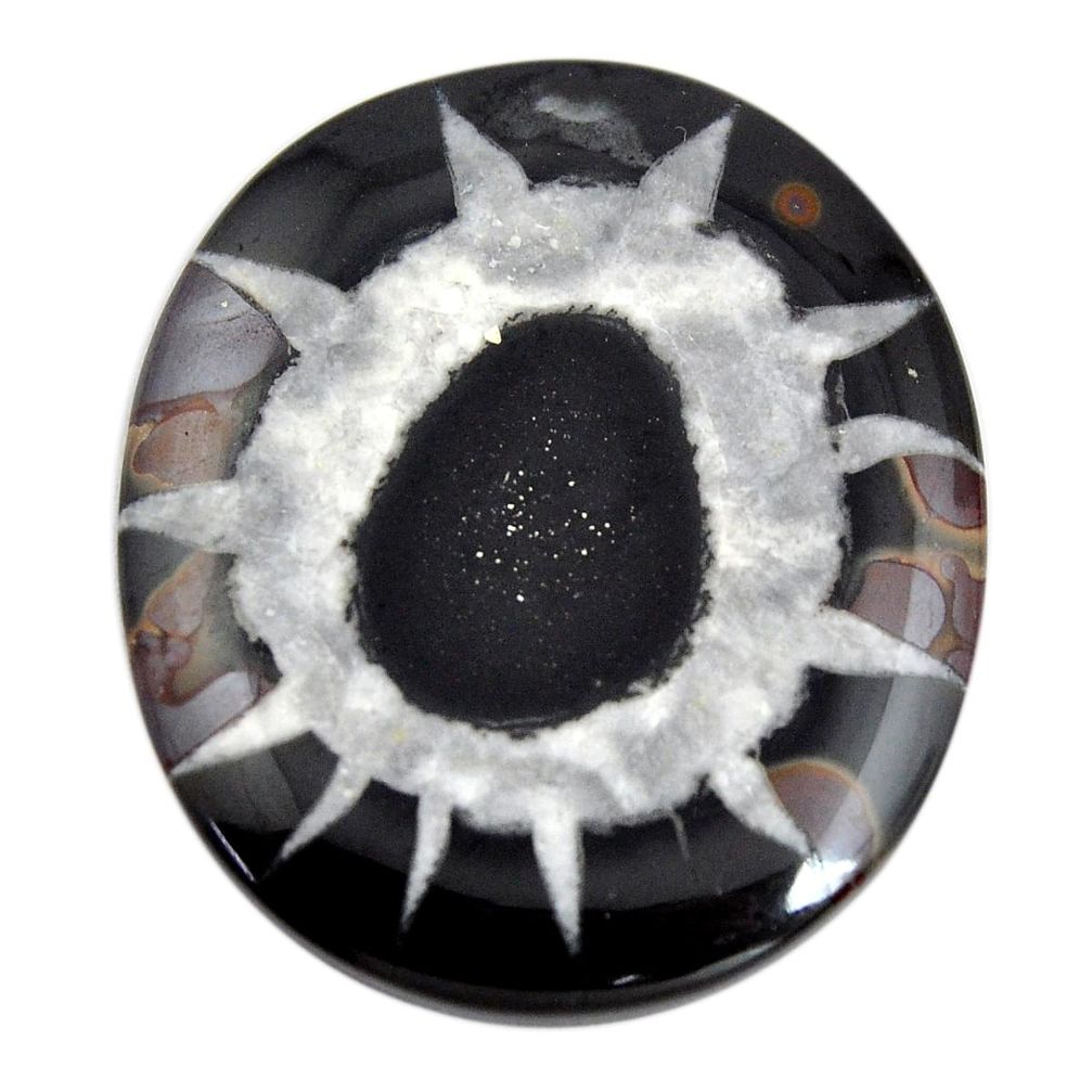 Natural 66.30cts septarian gonads black cabochon 40x34 mm loose gemstone s15022