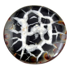 Natural 72.25cts septarian gonads black cabochon 40x40 mm loose gemstone s15021