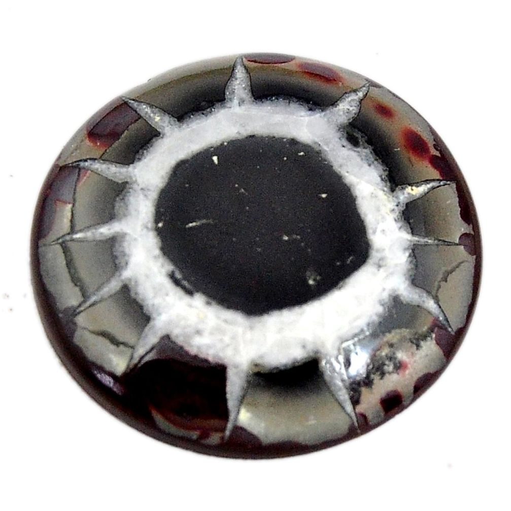 Natural 20.10cts septarian gonads brown 23.5x23.5 mm round loose gemstone s15056