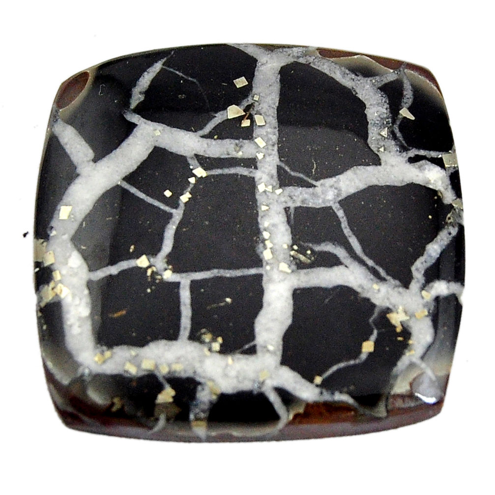 Natural 32.35cts septarian gonads brown cabochon 26x26 mm loose gemstone s15042