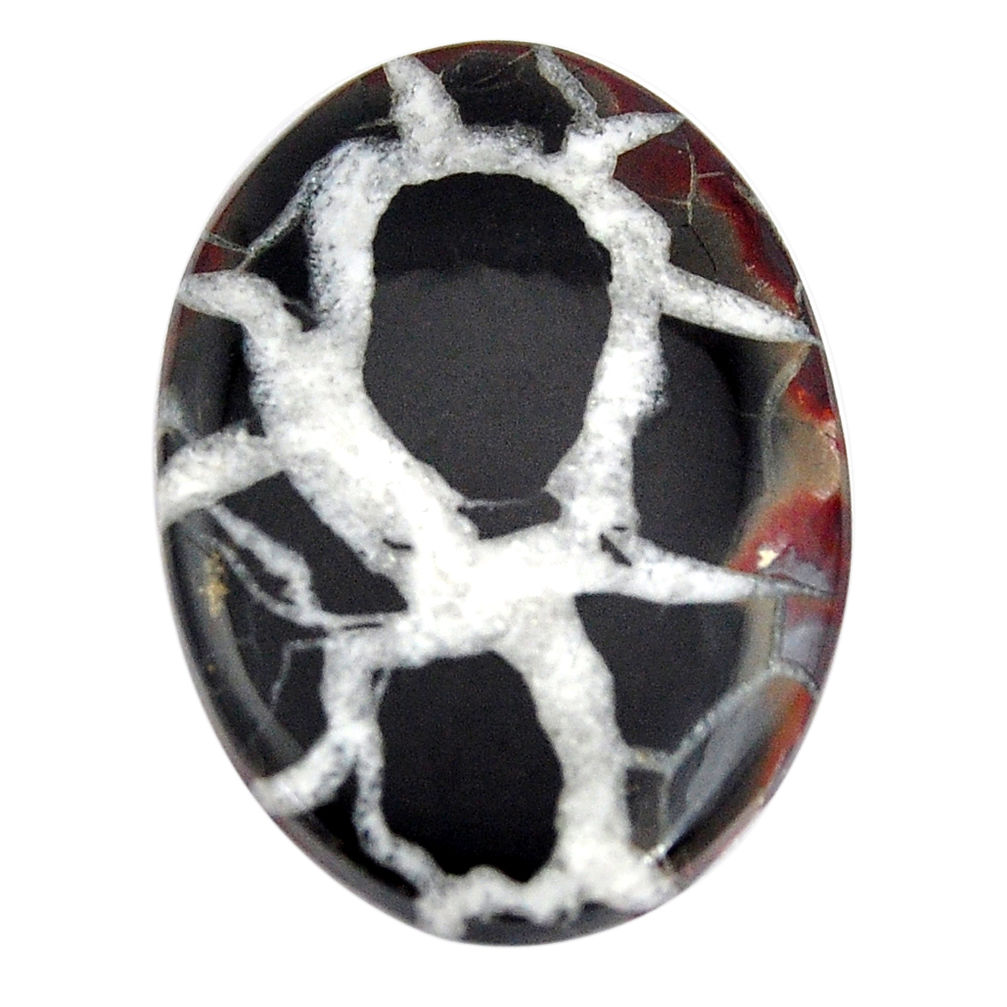 Natural 21.35cts septarian gonads brown cabochon 30x20 mm loose gemstone s15047