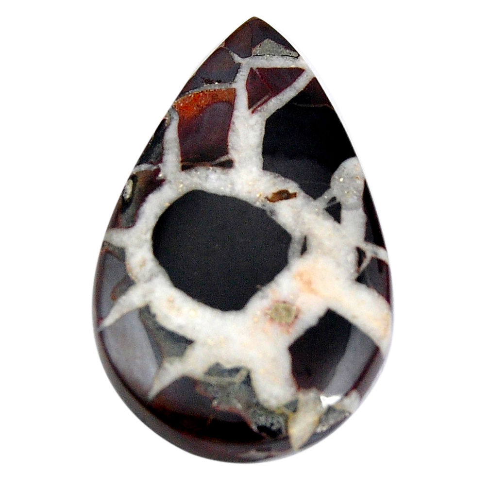 Natural 19.45cts septarian gonads brown cabochon 31x18 mm loose gemstone s15050