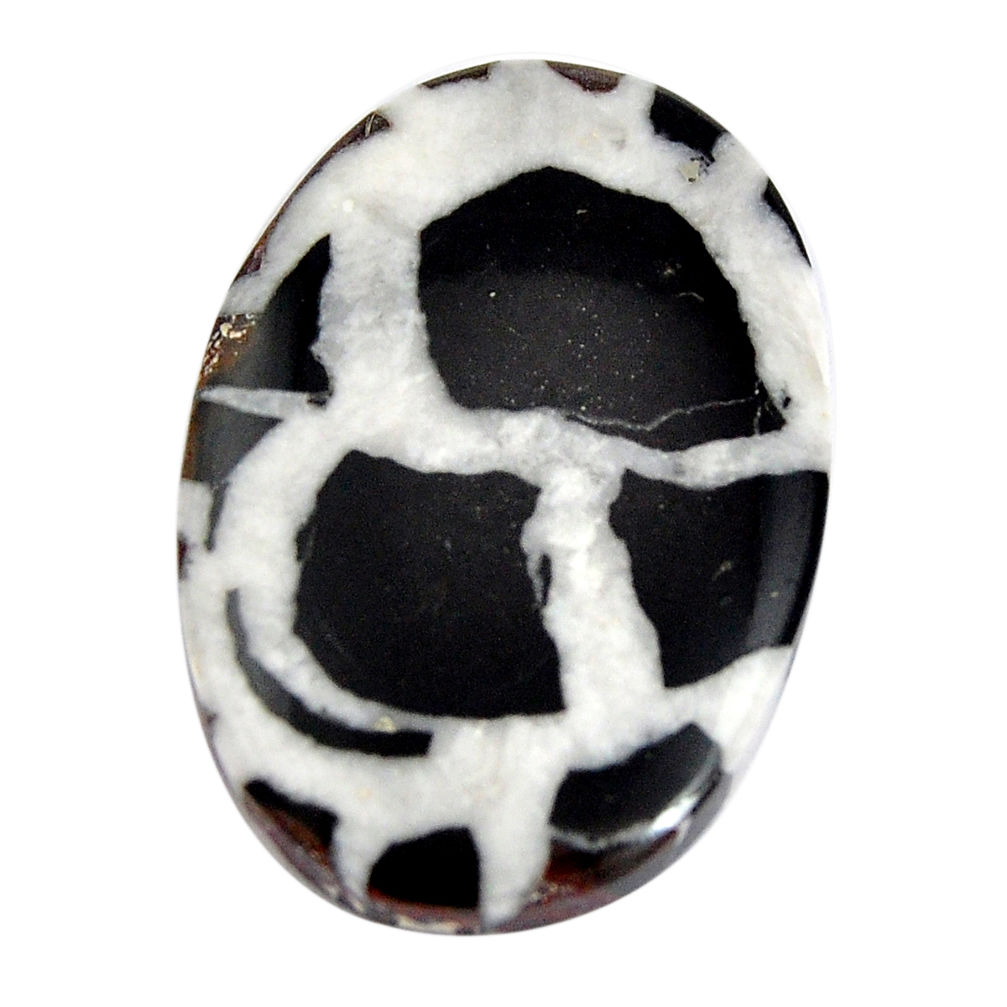 Natural 30.15cts septarian gonads brown cabochon 31x21 mm loose gemstone s15046