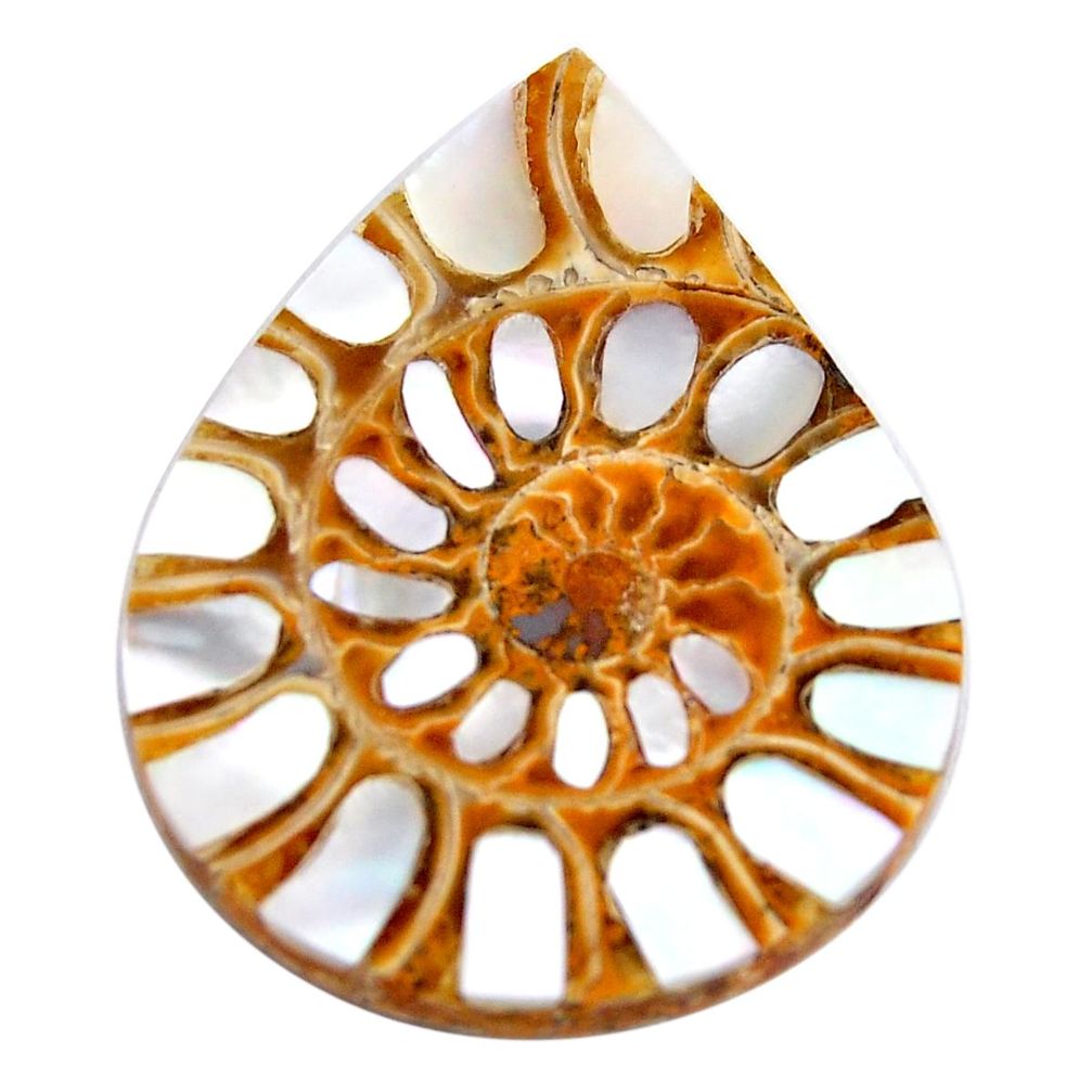 Natural 36.20cts shell in ammonite cabochon 34x26 mm pear loose gemstone s15193