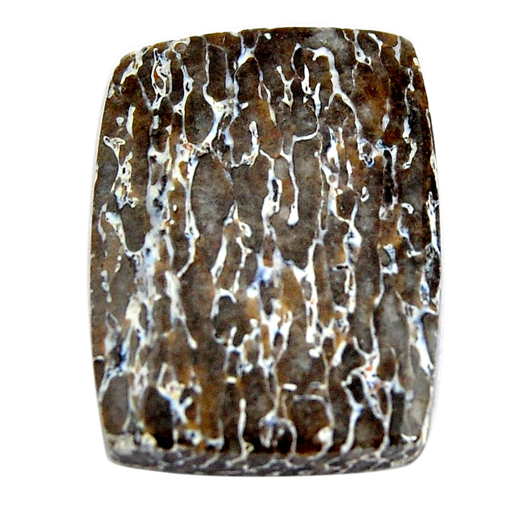 Natural 19.45cts stingray coral from alaska 24x17.5 mm loose gemstone s15140