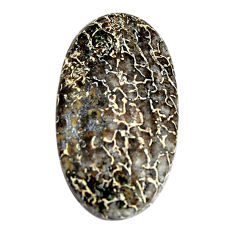 Natural 25.10cts stingray coral from alaska 32x17 mm oval loose gemstone s15107