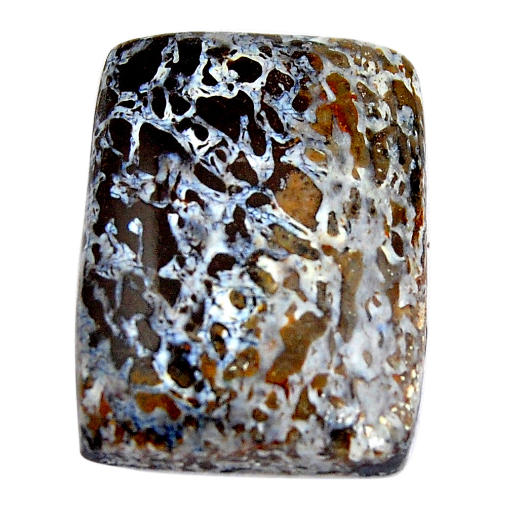 Natural 24.35cts stingray coral from alaska black 25x18 mm loose gemstone s15139